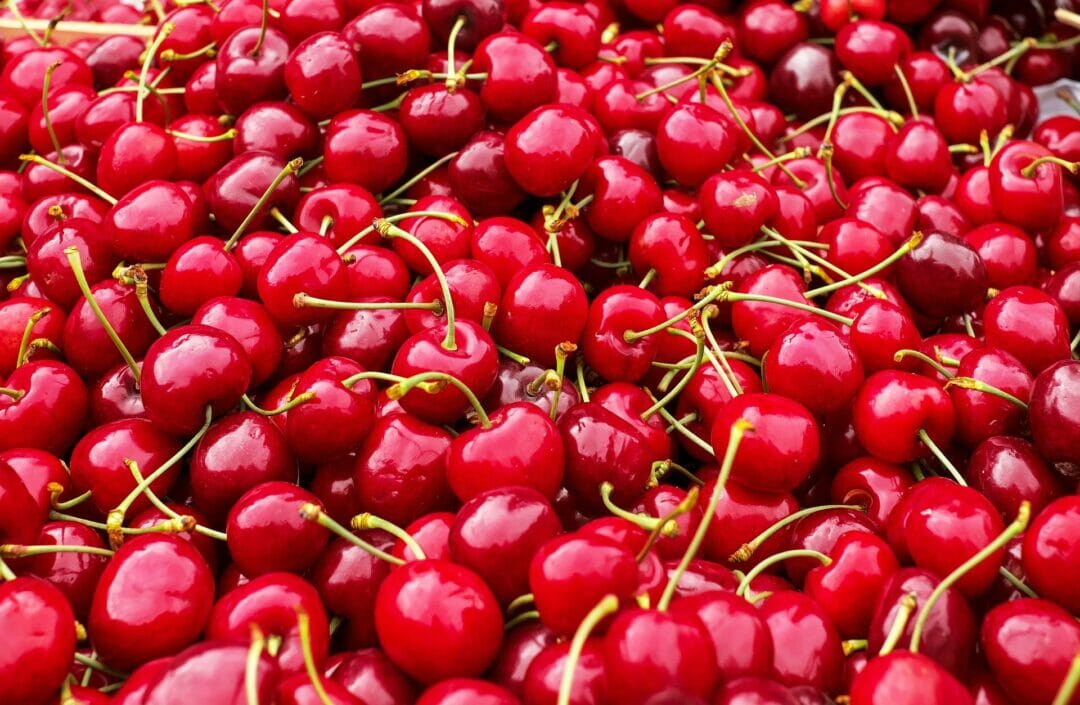 Fresh cherries. Can Bearded Dragons Eat Cherries?