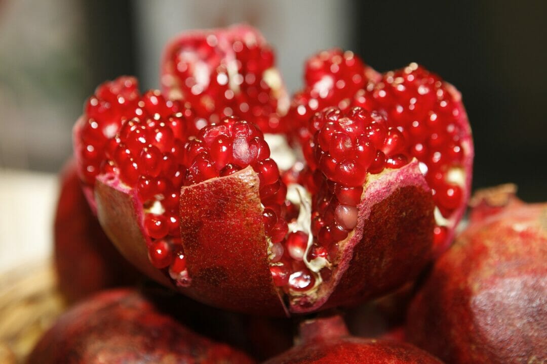 Fresh pomegranate. Can bearded dragons eat pomegranates?