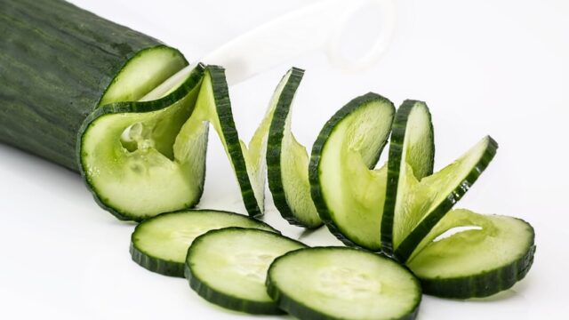 Can turtles eat Cucumbers? Fresh Cucumber slices