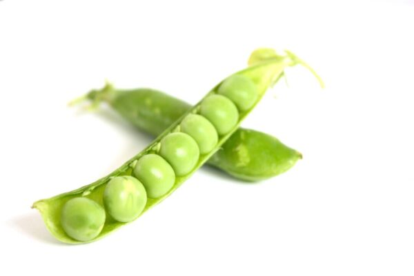 Peas are looking fresh