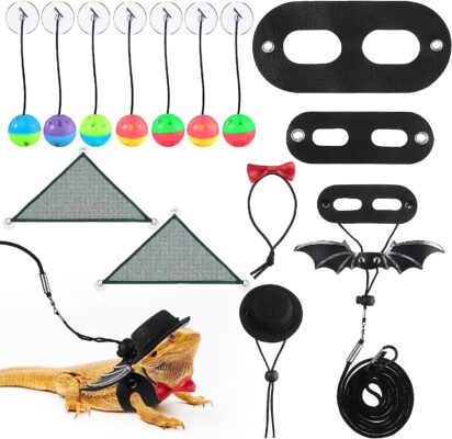 12 Pack Bearded Dragon Accessories Set Bearded Dragon