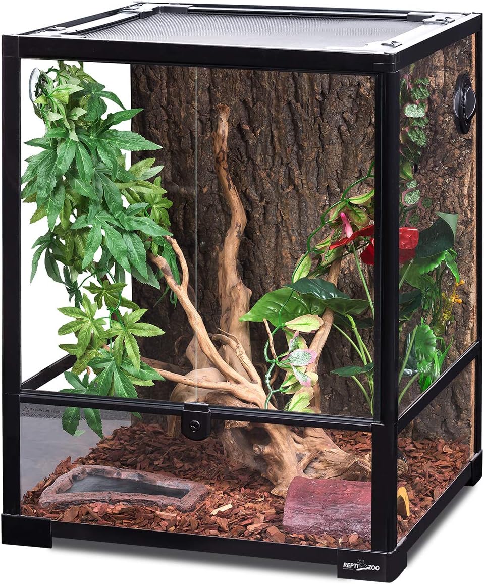 Best Enclosures For Ball Pythons