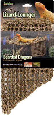 Toys for bearded dragons