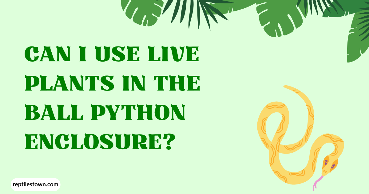Can I Use Live Plants in the Ball Python Enclosure? 