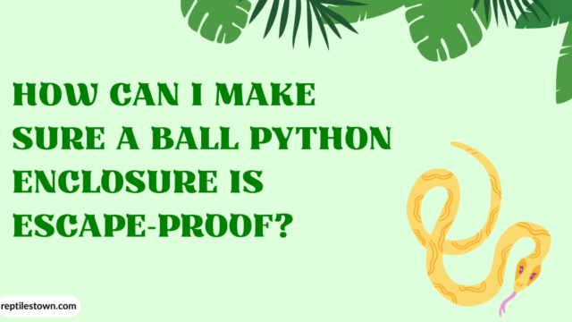 How can I make sure a ball python enclosure is escape-proof?