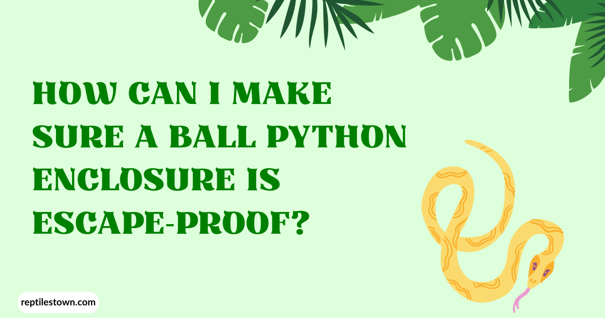 How can I make sure a ball python enclosure is escape-proof?